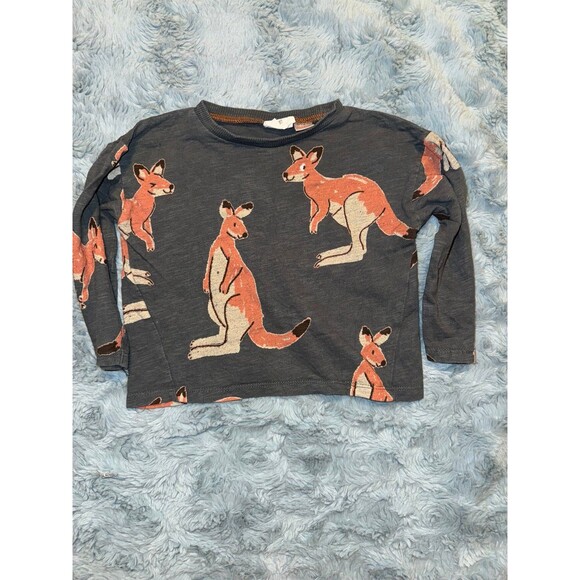 Zara Other - Zara kangaroo long sleeve tee
